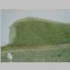 Leaf Vaginula 20er 01.jpg